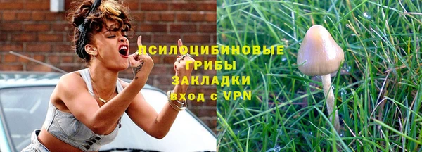 сатива Балабаново