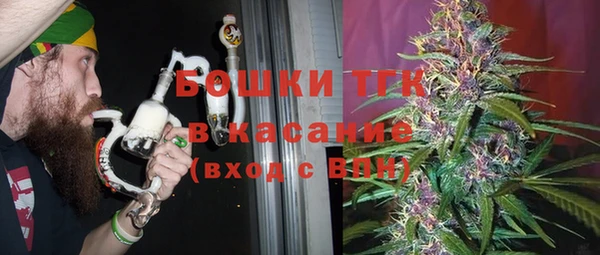 меф Арсеньев